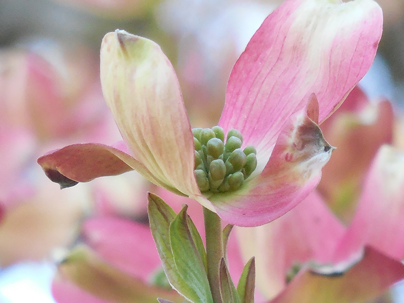 結婚式の曲選びのヒント ただのラブソング ではないんです